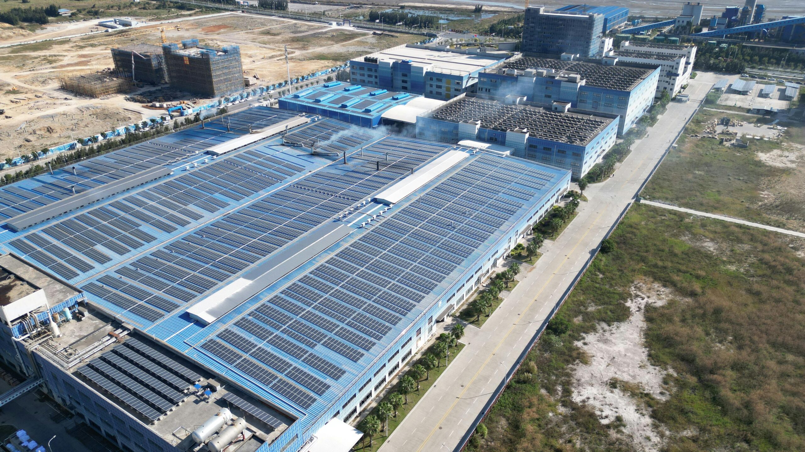 Pexels Photo 29923348 29923348 Scaled